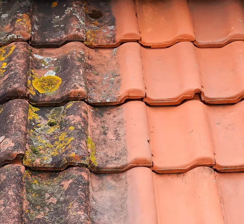 Before and after roof soft washing and moss removal